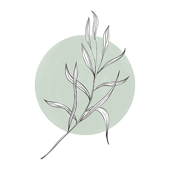 Green Botanicals Poster No.3