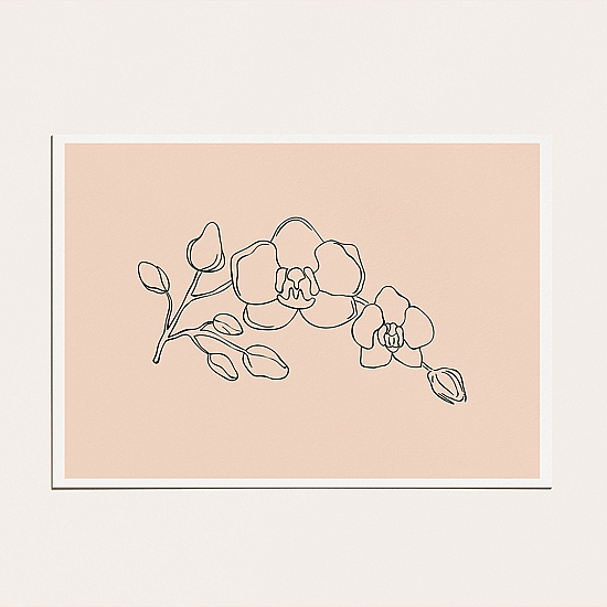 Orchid Line Art Poster No.1 - Image 4