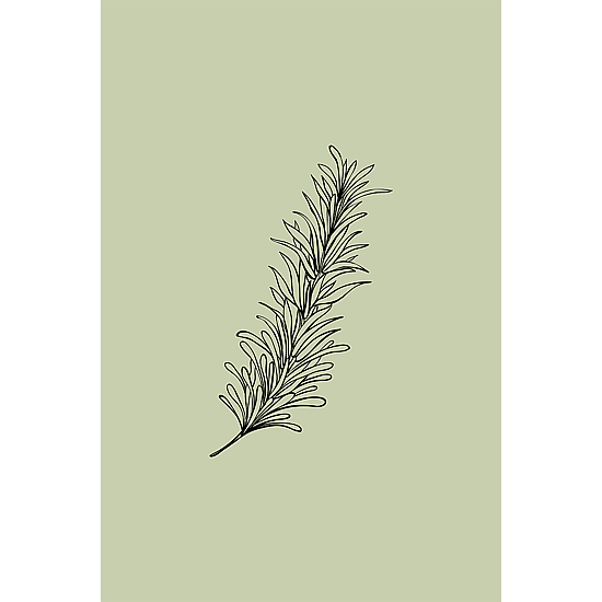 Green Kitchen Poster No.1