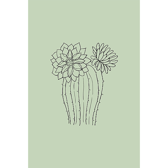Green Botanical Line Art Poster No.1