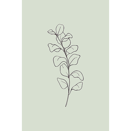 Green Botanical Line Art Poster No.4
