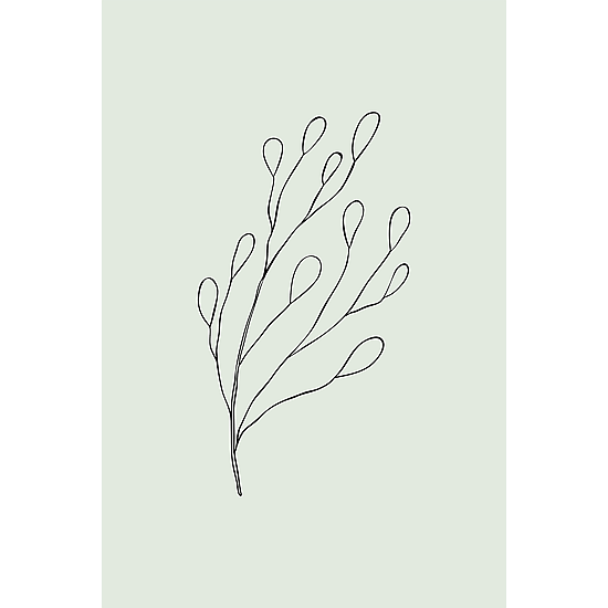Green Botanical Line Art Poster No.5