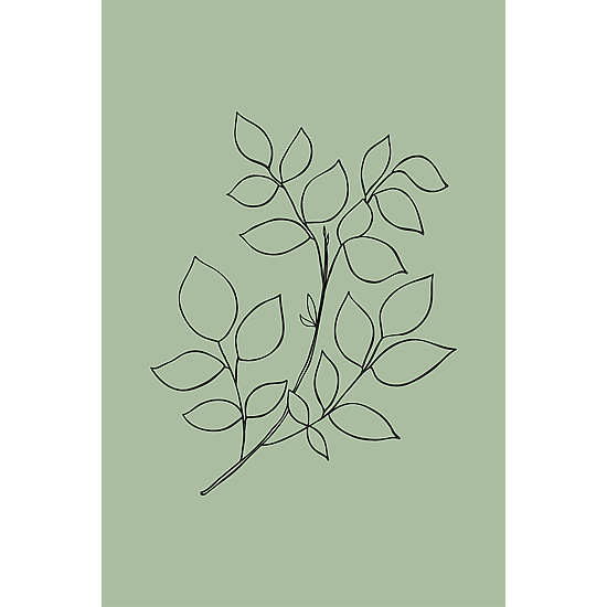Green Botanical Line Art Poster No.6