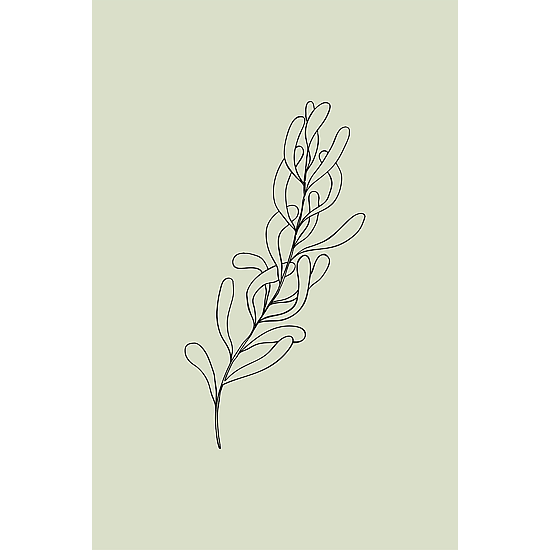 Green Botanical Line Art Poster No.7