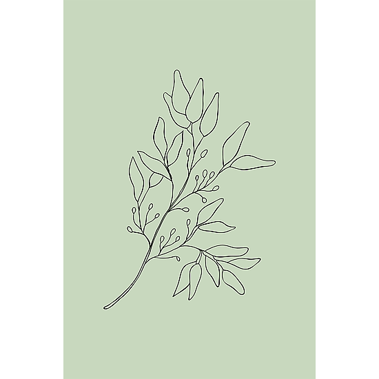 Green Botanical Line Art Poster No.10