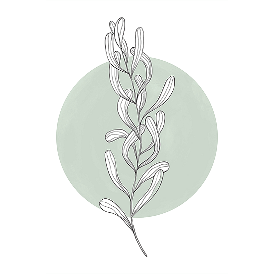 Green Botanicals Poster No.2