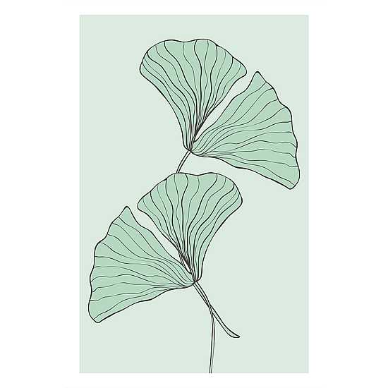 Green Ginkgo Leaves Poster