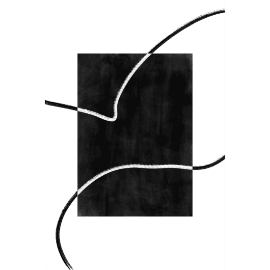 Black & White Line Art Poster