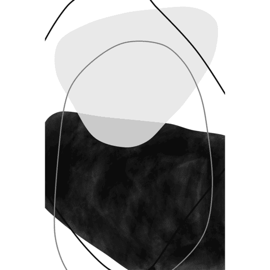 Monochrome Organic Shapes Poster