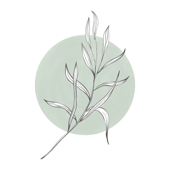 Green Botanicals Poster No.3