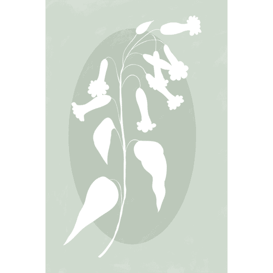 Vintage Botanics Poster No.2