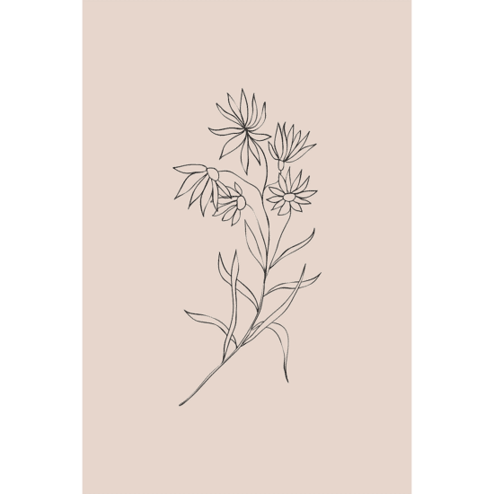 Pink Flowers Line Art Poster No.1