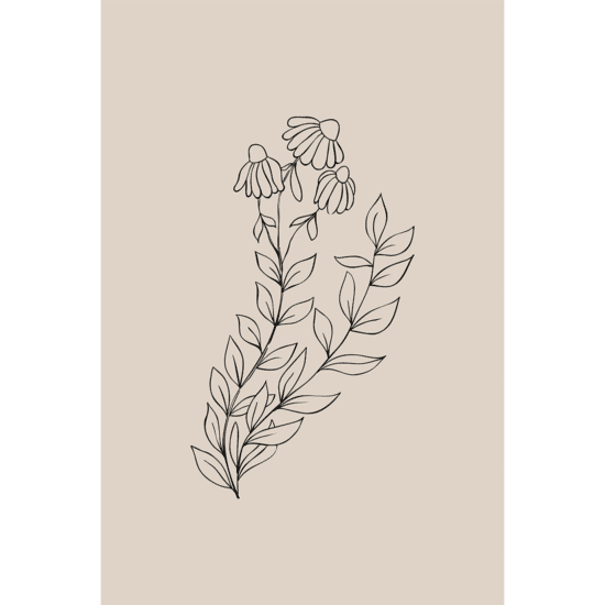 Pink Flowers Line Art Poster No.4