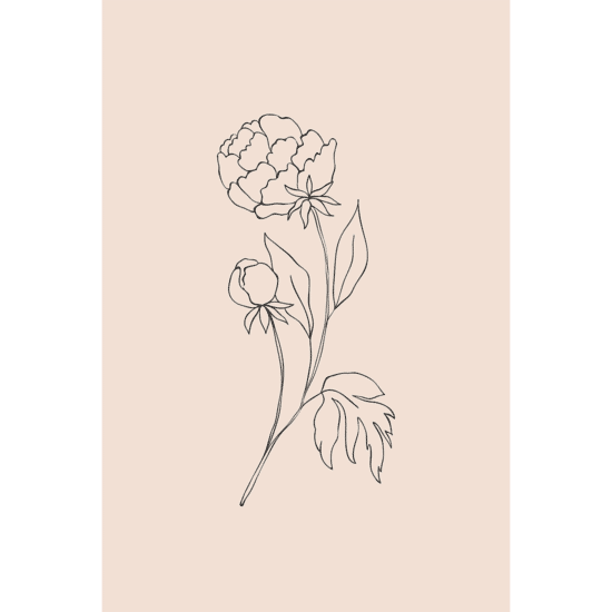 Pink Flowers Line Art Poster No.5
