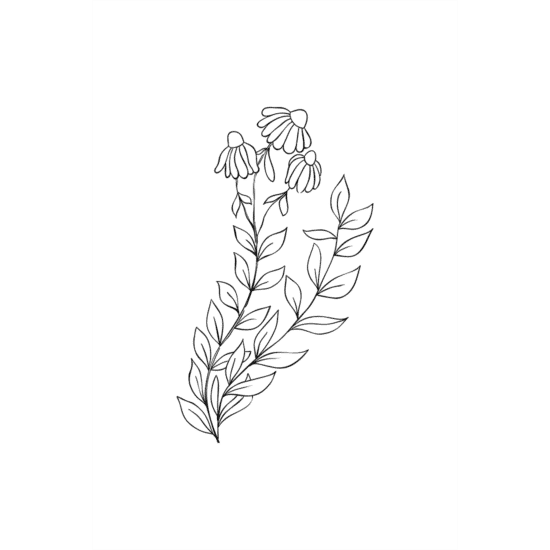 White Flowers Line Art Poster No.4