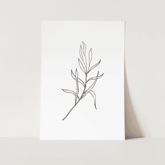 White Botanical Line Art Poster - Image 5