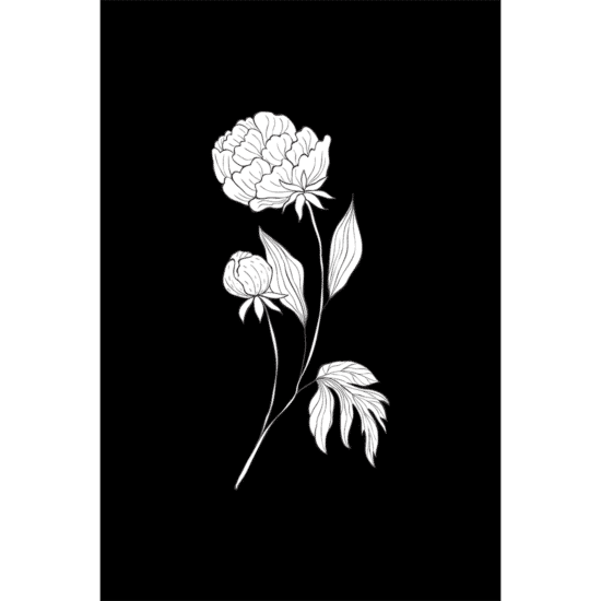 Black & White Botanical Poster No.1