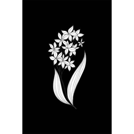 Black & White Botanical Poster No.2
