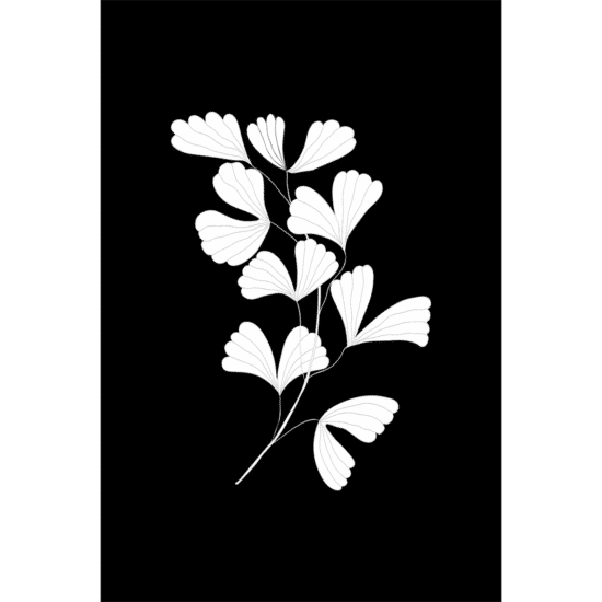 Black & White Botanical Poster No.3