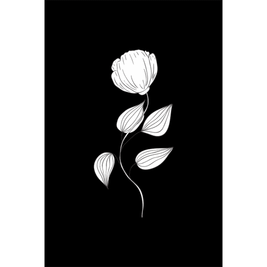 Black & White Botanical Poster No.4