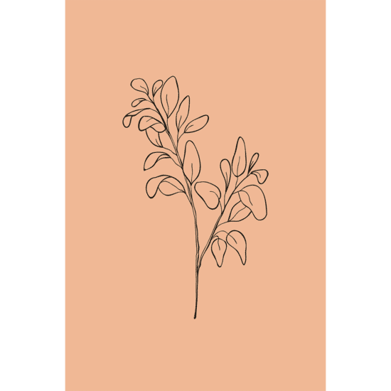 Terracotta Botanicals Poster No.5