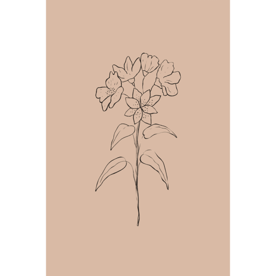 Terracotta Botanicals Poster No.6