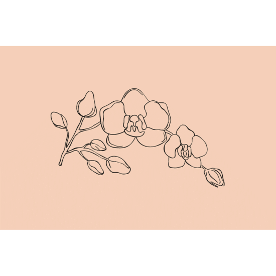 Orchid Line Art Poster No.1