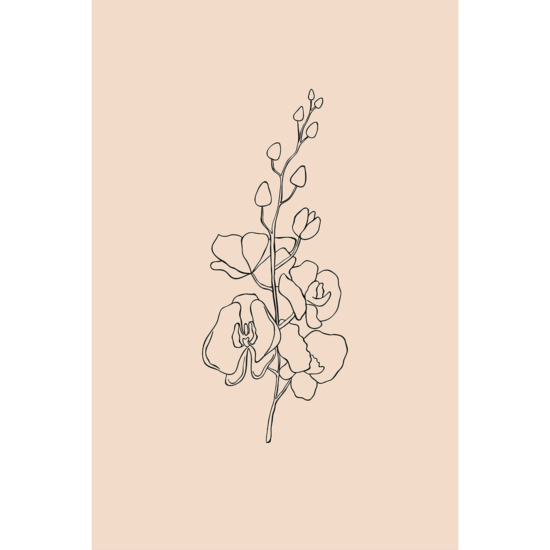 Orchid Line Art Poster No.2