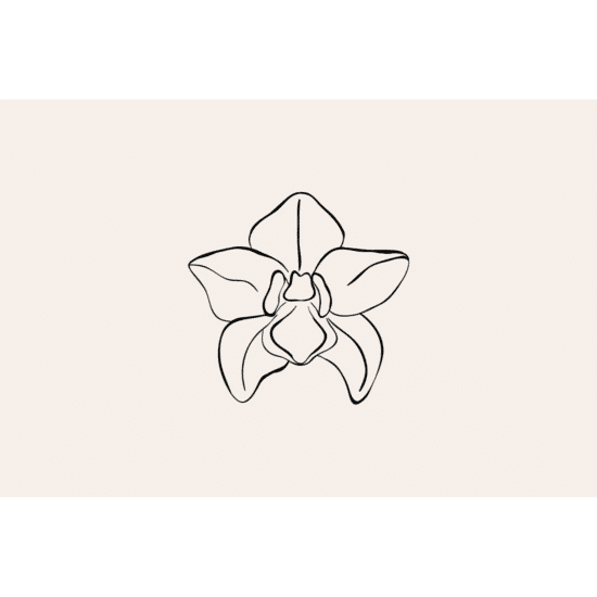 Orchid Line Art Poster No.3
