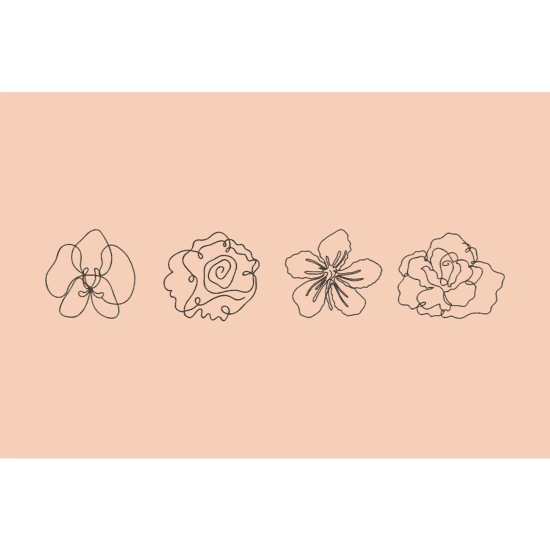 Terracotta Line Art Flowers Poster No.2