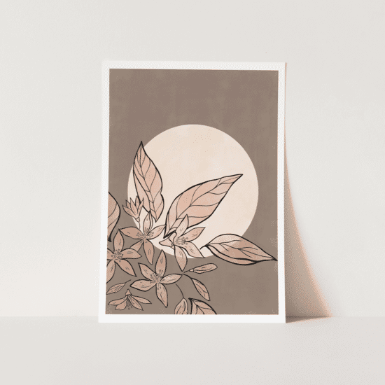 Botanics & Sun Poster No.1 - Image 4