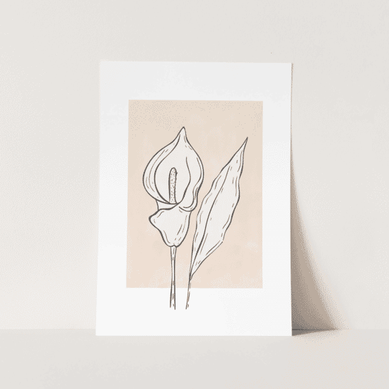 Calla Lily Flower Poster - Image 4