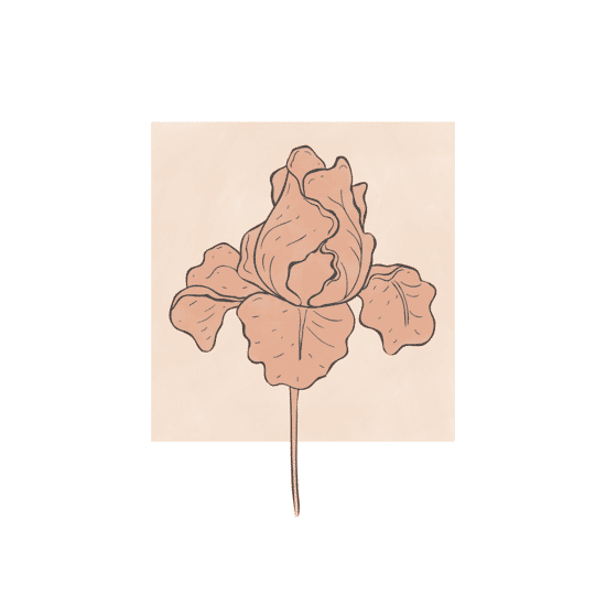 Iris Flower Poster