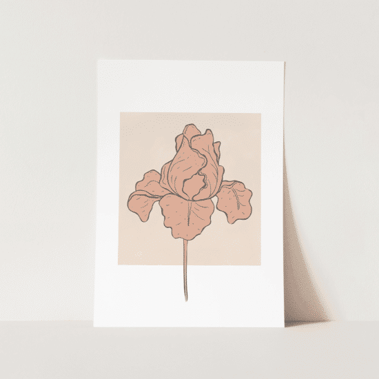 Iris Flower Poster - Image 4