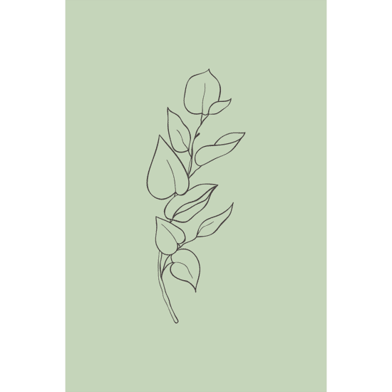 Green Botanical Line Art Poster No.3
