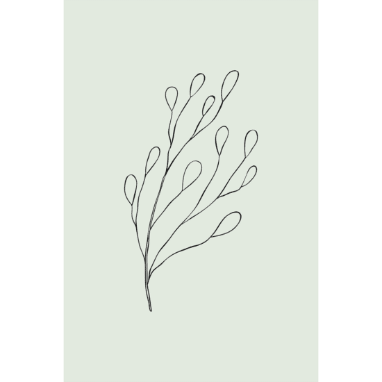 Green Botanical Line Art Poster No.5