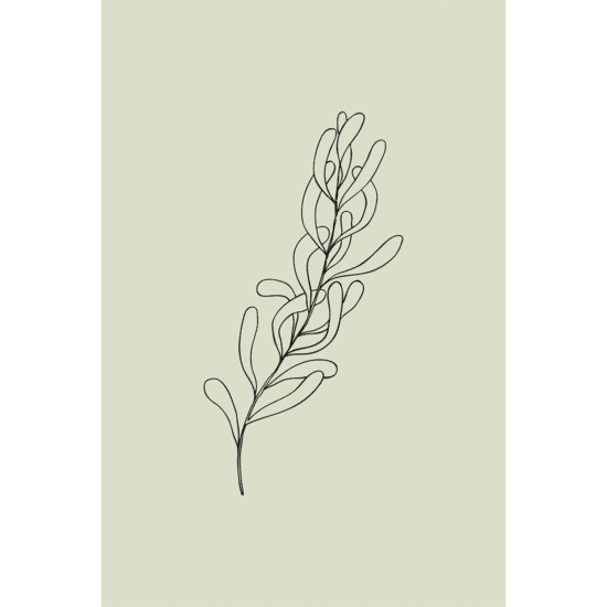 Green Botanical Line Art Poster No.7