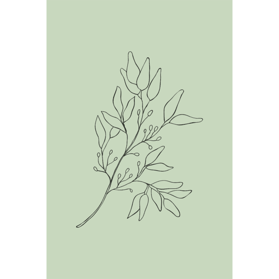Green Botanical Line Art Poster No.10