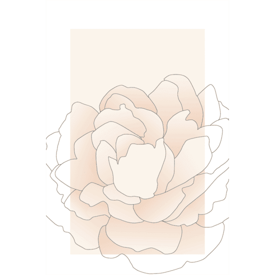 Pink Peony Poster