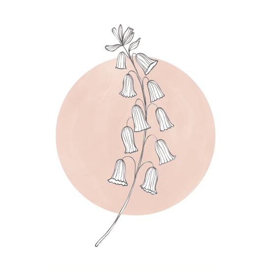 Pink Botanicals Poster No.3
