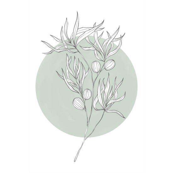 Green Botanicals Poster No.1