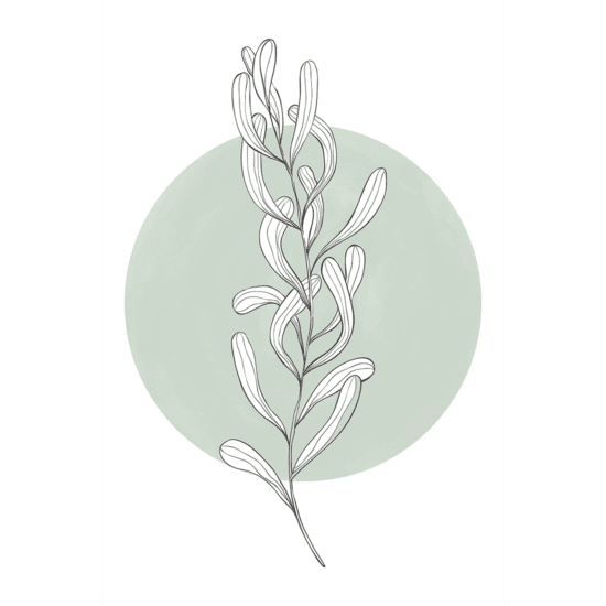 Green Botanicals Poster No.2