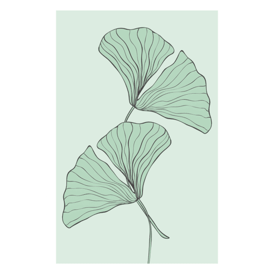 Green Ginkgo Leaves Poster