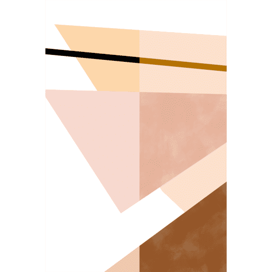 Pink Geometric Shapes Poster