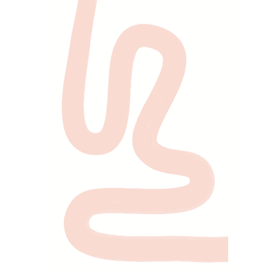 Pink One Line Drawing