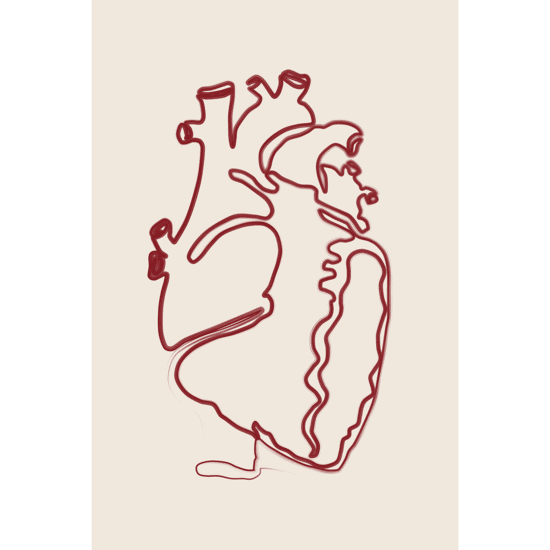 Anatomy Heart Line Poster